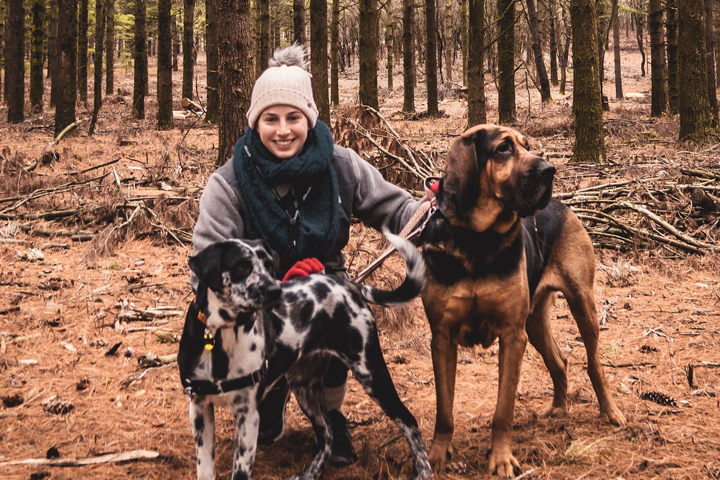 Kerry and the dogs exploring the Kettle