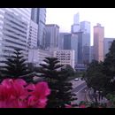 Hongkong Buildings 2