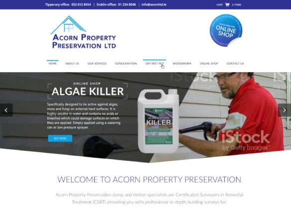 Acorn Property Preservation logo