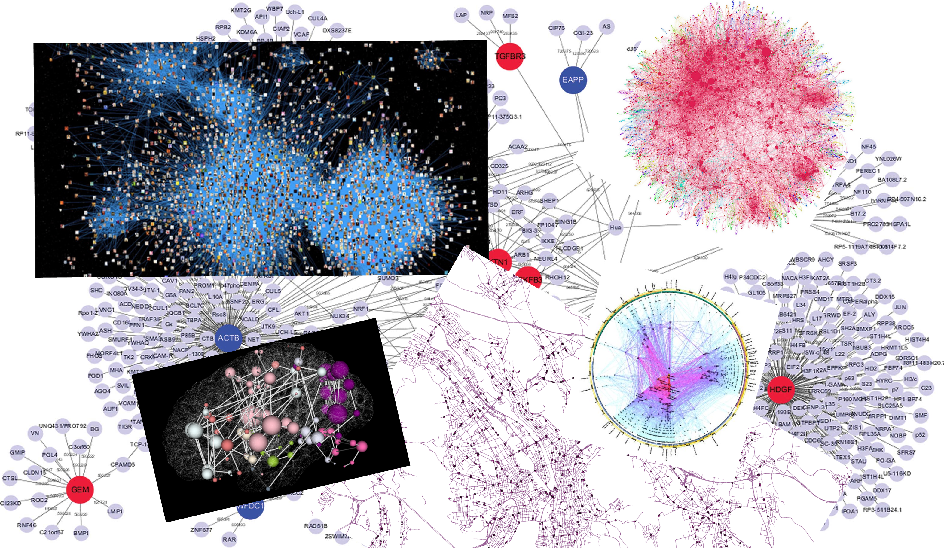 Some examples of graphs found on the Internet.