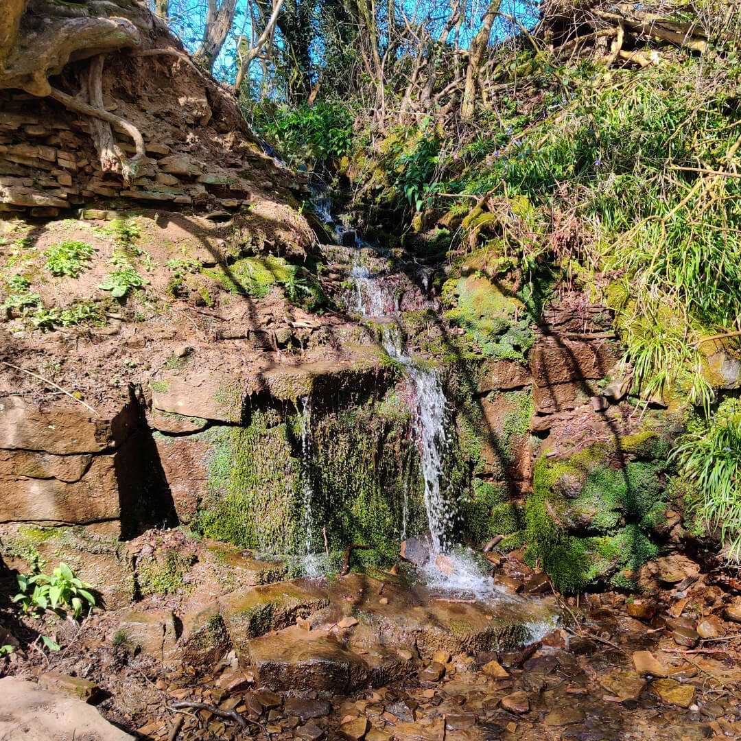 Waterfall in Nan Whins Wood (Sykes Wood)