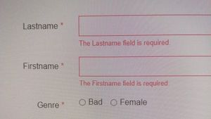 A screenshot of a form, with a text field for &quot;Lastname&quot; (all one word), a text field for &quot;Firstname&quot; (all one word), and a radio buttons field titled &quot;Genre&quot; with the options &quot;Bad&quot; and &quot;Female&quot;