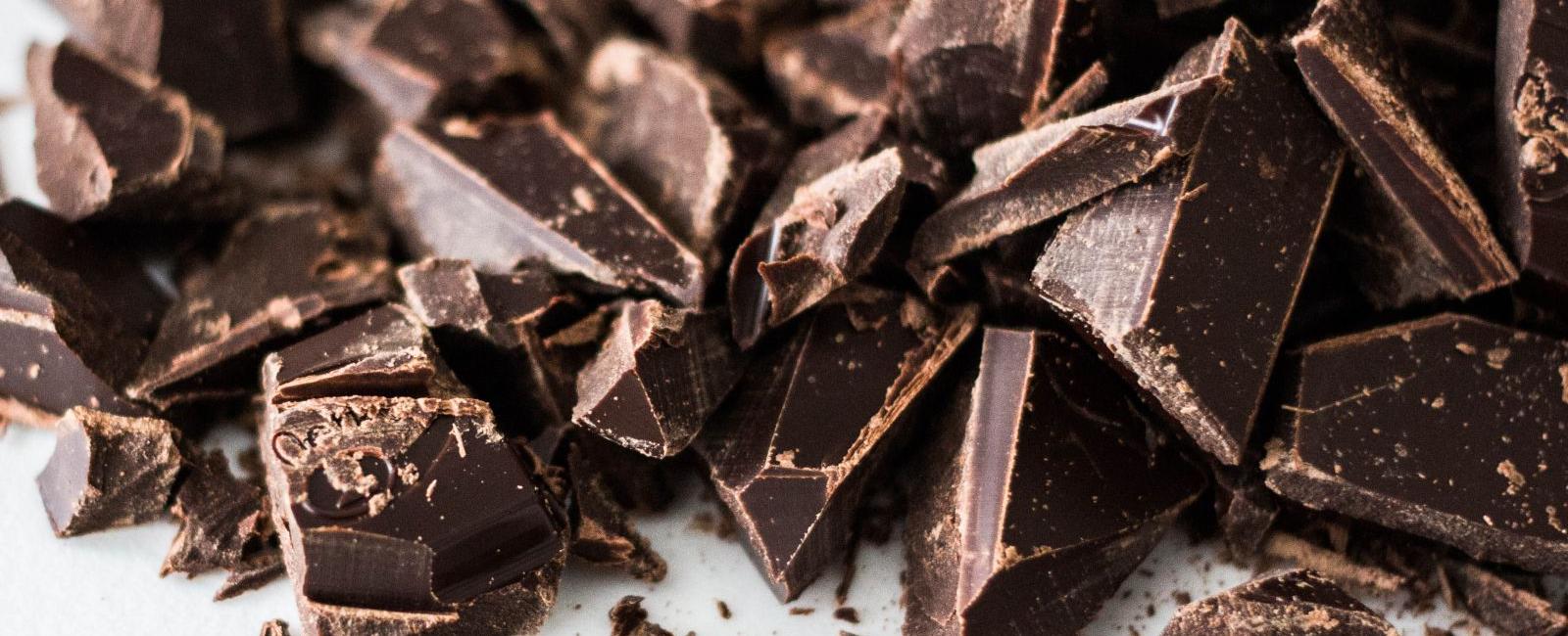 Can Dogs Eat Chocolate? An Anti-Poisoning Guide