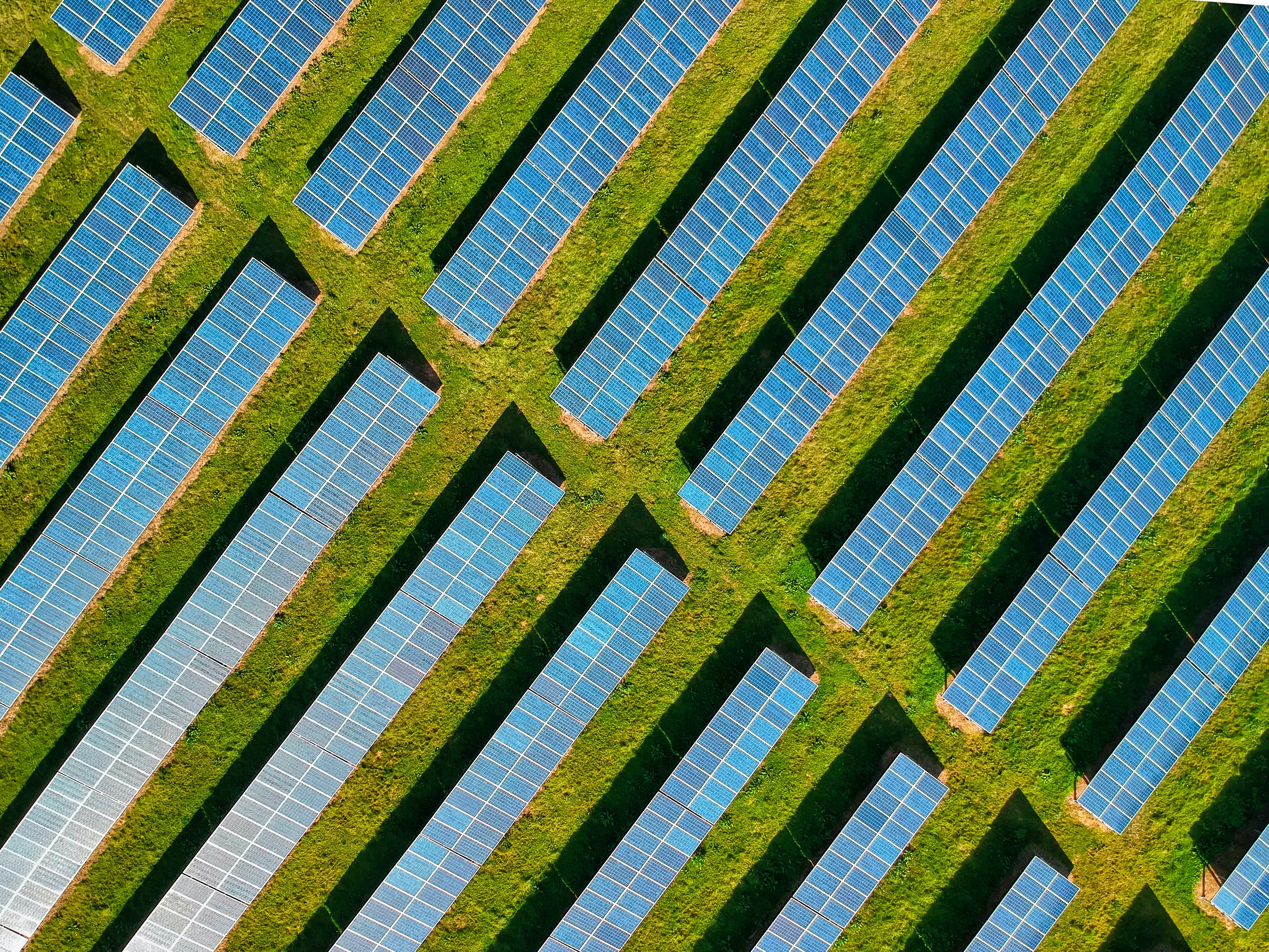 overhead shot of solar panels over a green field.