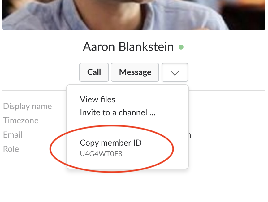 Slack member id