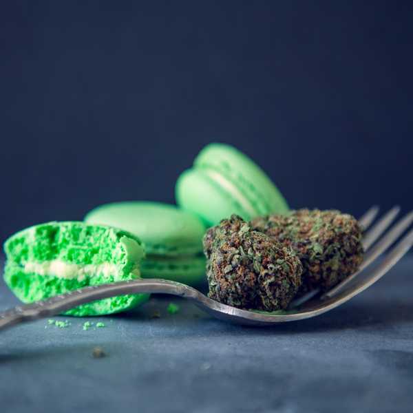 Learn about cannabis in australia