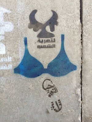 Blue Bra Graffiti (Bahia Shehab)