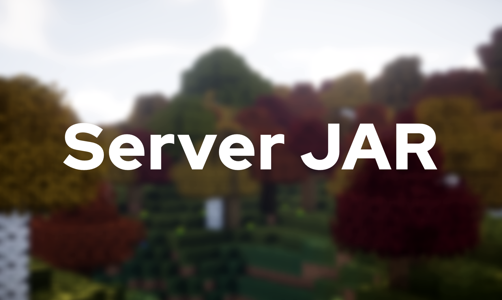 We finally have a server JAR for 1.16!