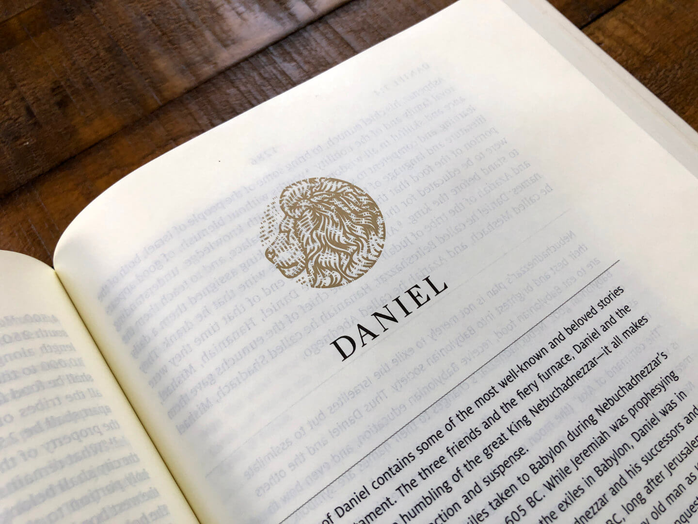 The heading image for the book of Daniel in the Story of Redemption Bible