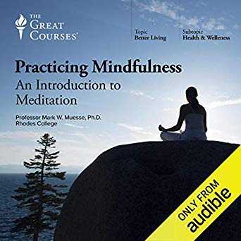 Practicing Mindfulness: An Introduction to Meditation Cover