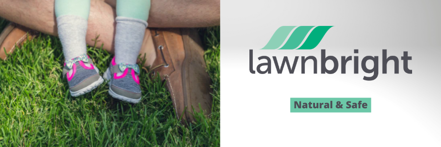 Lawnbright Review - Natural & Safe Lawnbright Review - Natural & Safe