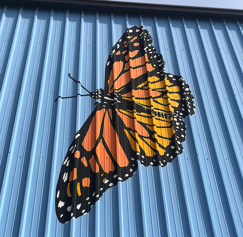 Monarch butterfly painted on the wall