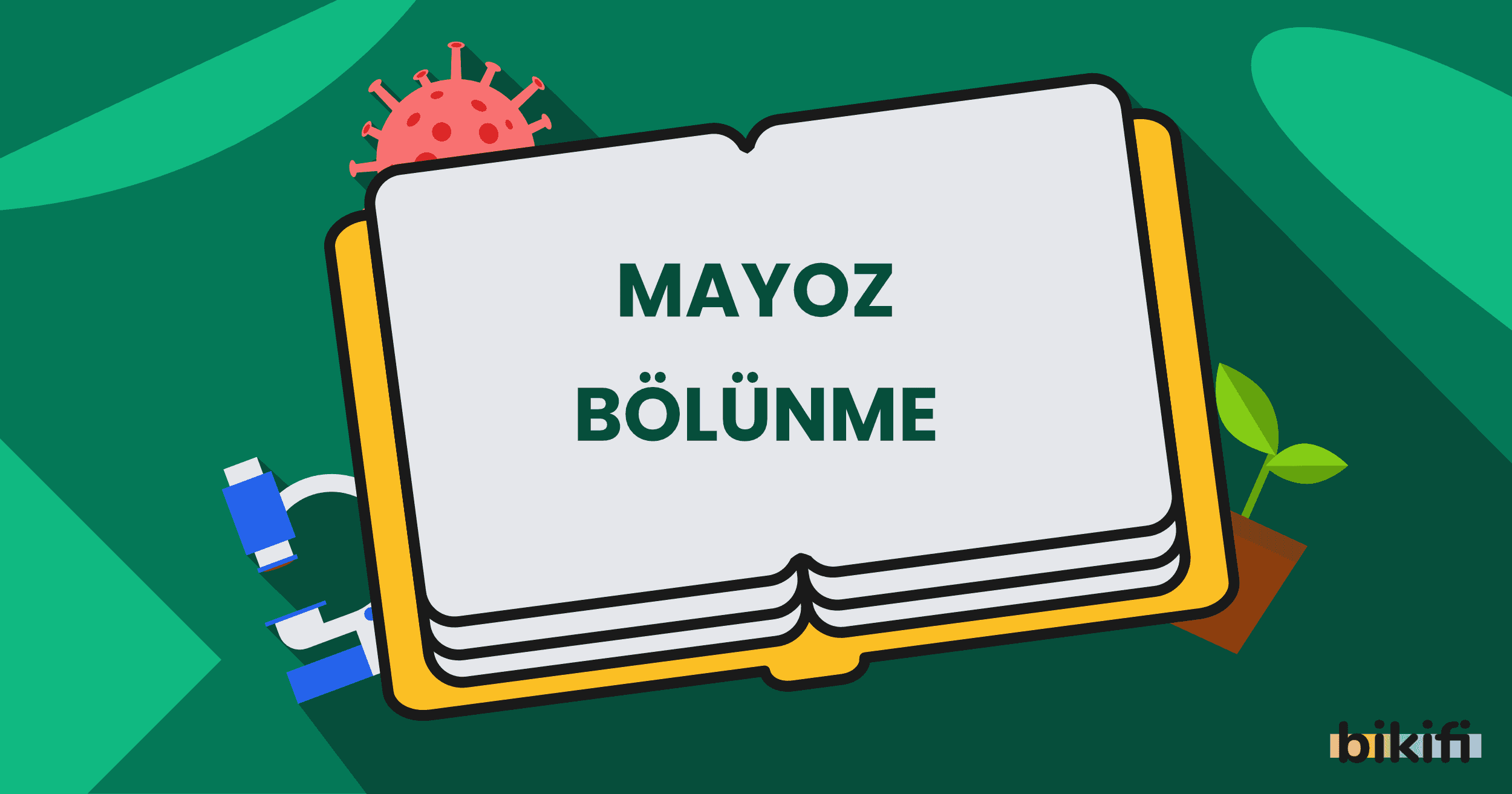 mayoz bolunme bikifi