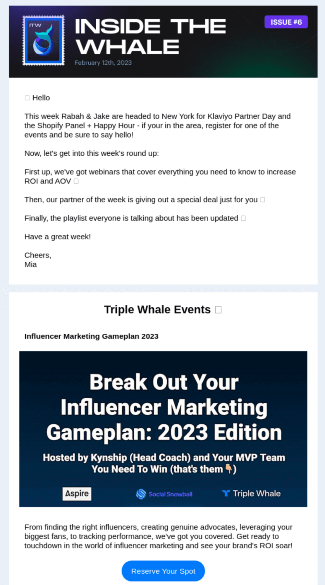 Email Engagement Content Ideas: Screenshot of Triple Whale's email talking about their internal rituals
