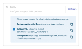 A screenshot of the SAML form field with example information