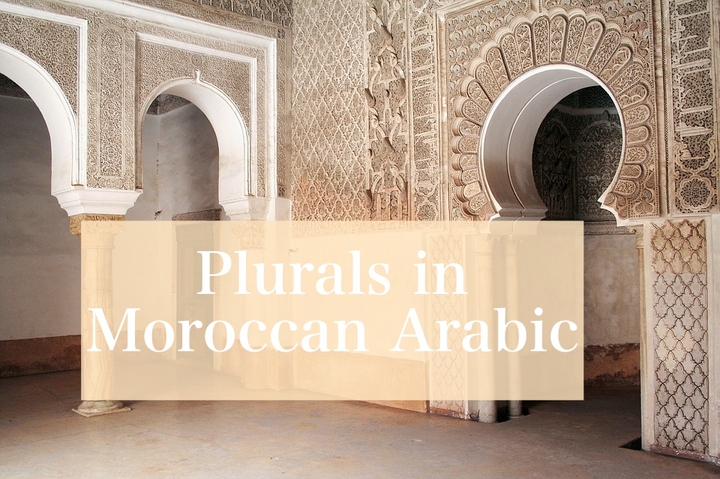 Plurals in Moroccan Arabic
