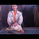 China Animal Markets 25