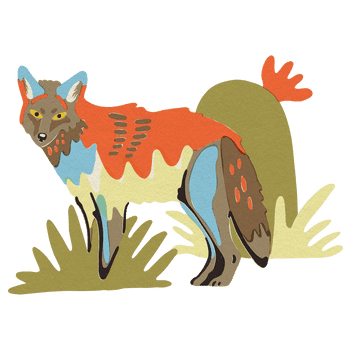 BESIDE_15animals_2021coyote.png