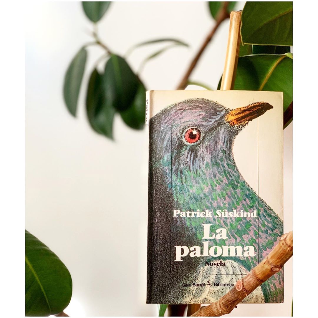 Imagen de Reseña de "La paloma", de Patrick Süskind
