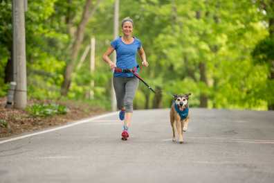 Running with Your Dog - Tips & a Training Plan