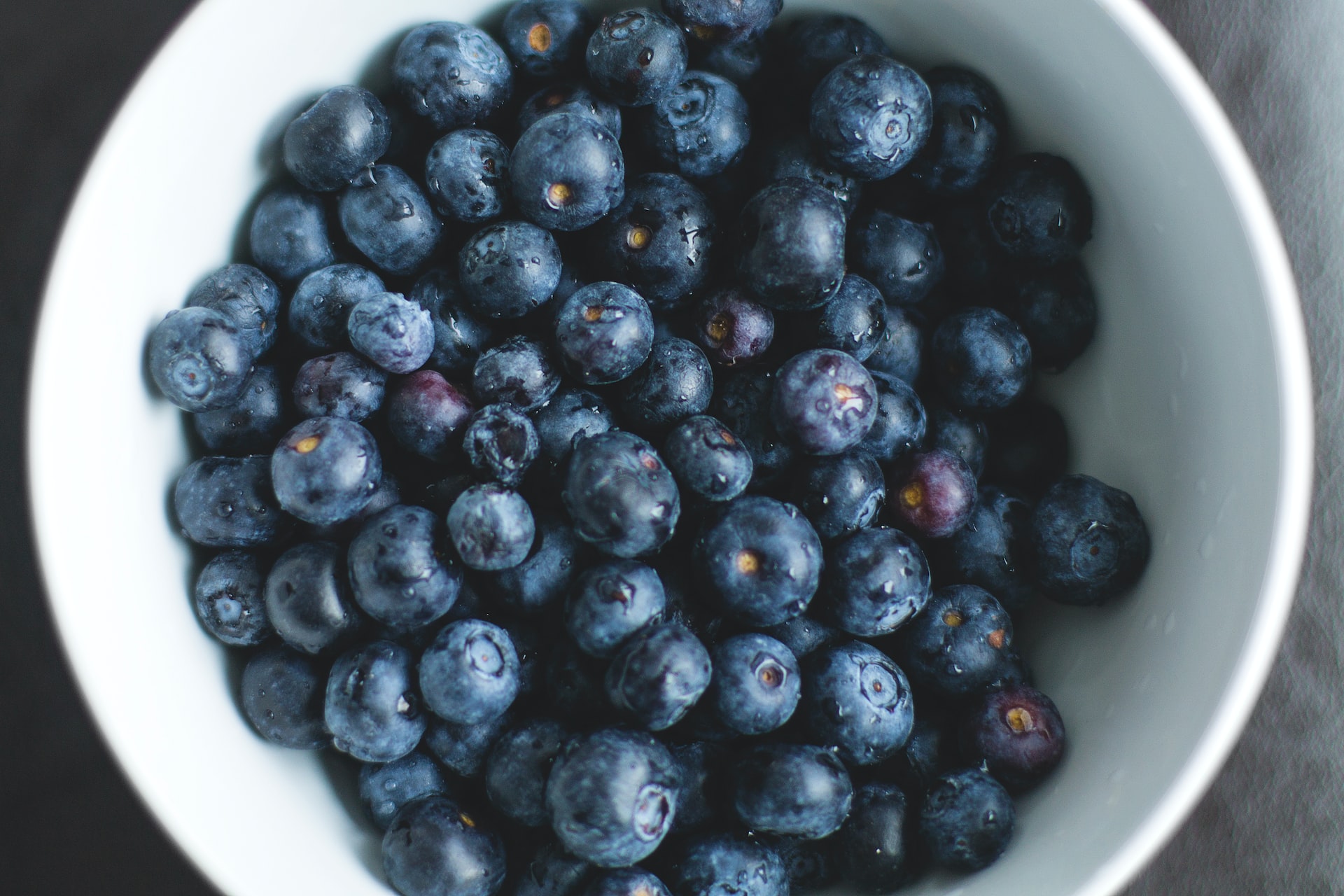Can Dogs Eat Blueberries? Read before you feed!