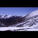 China Tibetan Snow 15