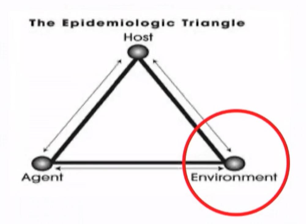 Why environment matters- a hint of Epidemiologic Triad