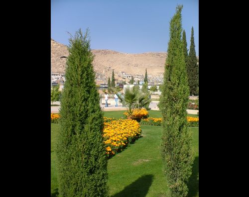 Shiraz city 9
