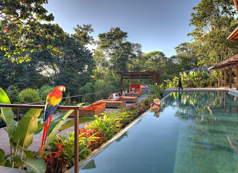 Hotel Nayara Hotel and Gardens - Arenal Luxury Hotel