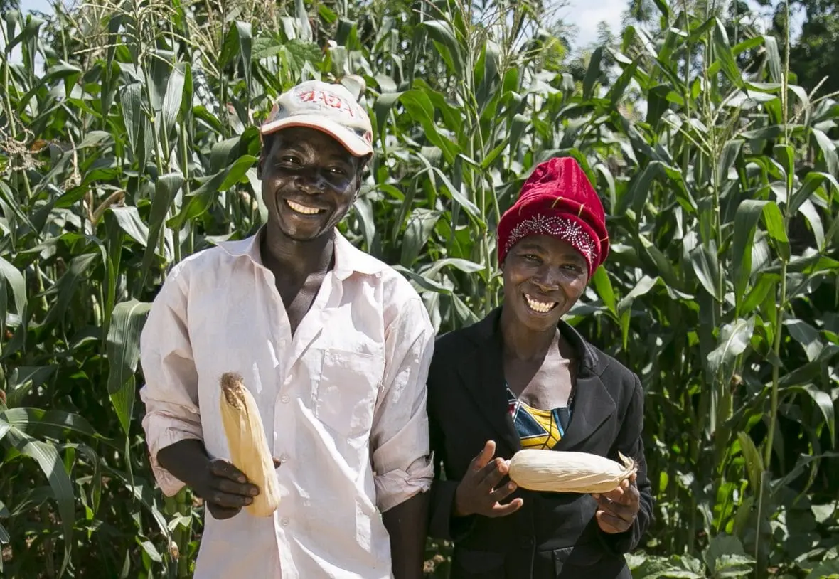 A man and woman holding maize in front of a field of crops