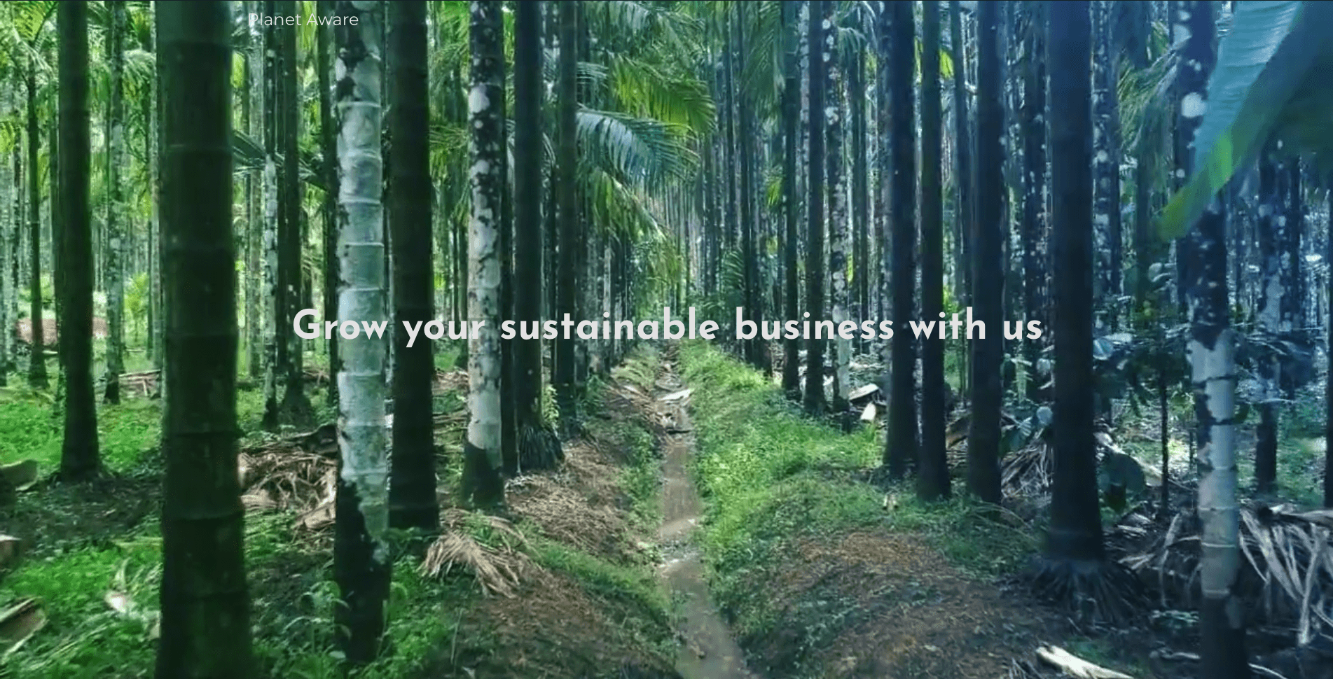 Planet Aware Agency Website