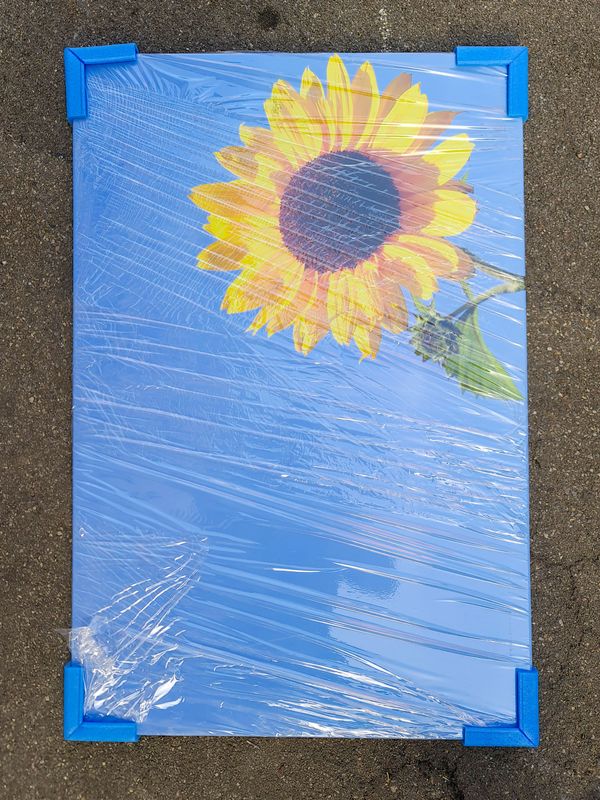 Leinwandbild «Sonnenblume»