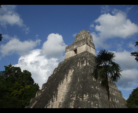 Guatemala Tikal 8