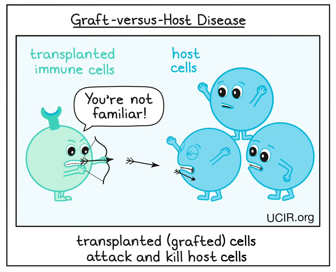 Illustration showing grafted cells attacking and killing host cells