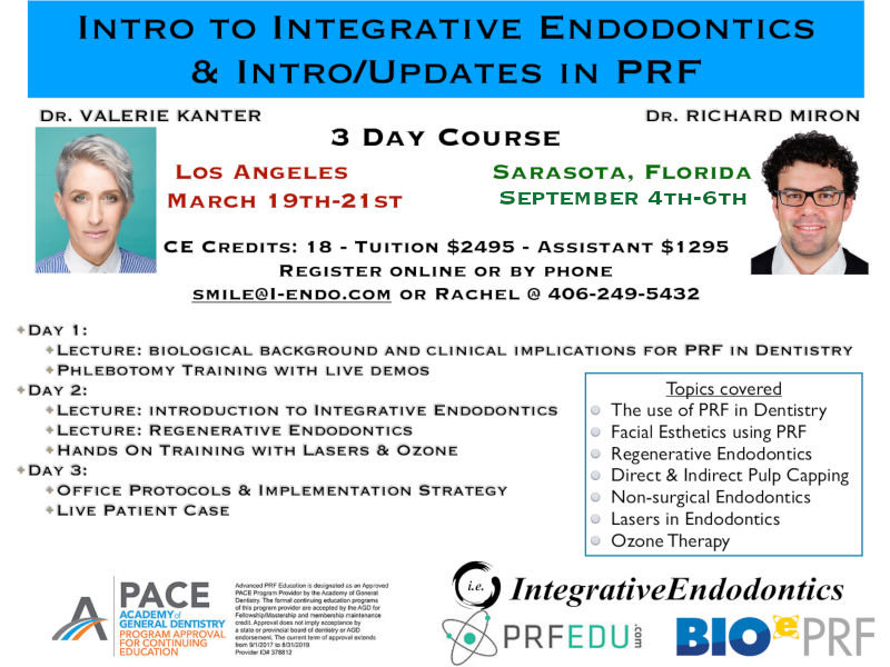 INT.ENDO___PRF_Course_LA3a.jpg