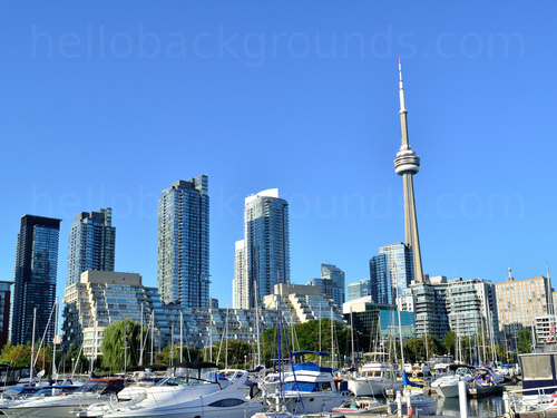 Urban cityscape featuring view of Toronto Tower and other office buildings from harbourside jetty with moored white boats Skype background