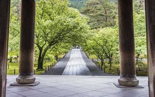 Hachiko