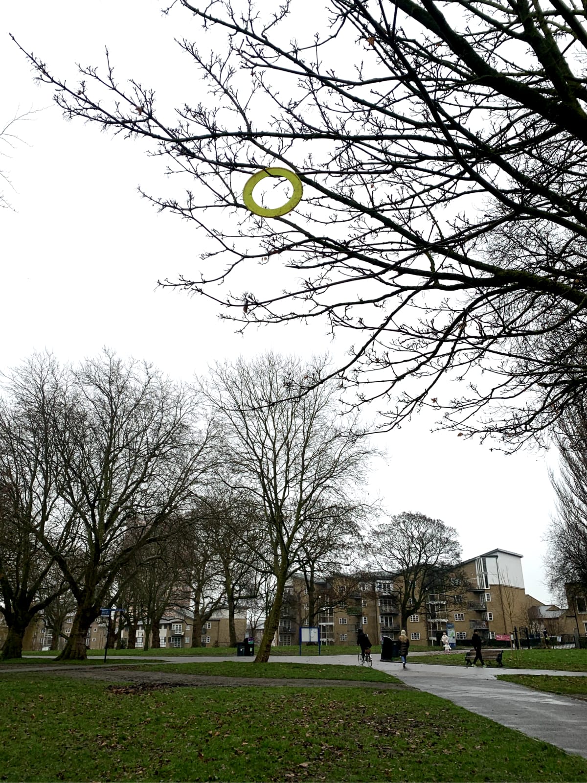 Yellow disc hanging off a high tree branch in a park as walkers and cyclists pass. The weather is grey and wet.