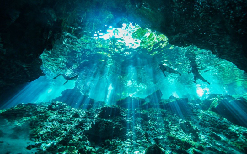 Diving with Crocodiles in Tulum