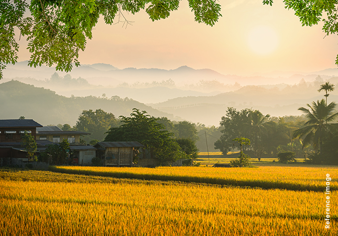 Chandargaon Valley