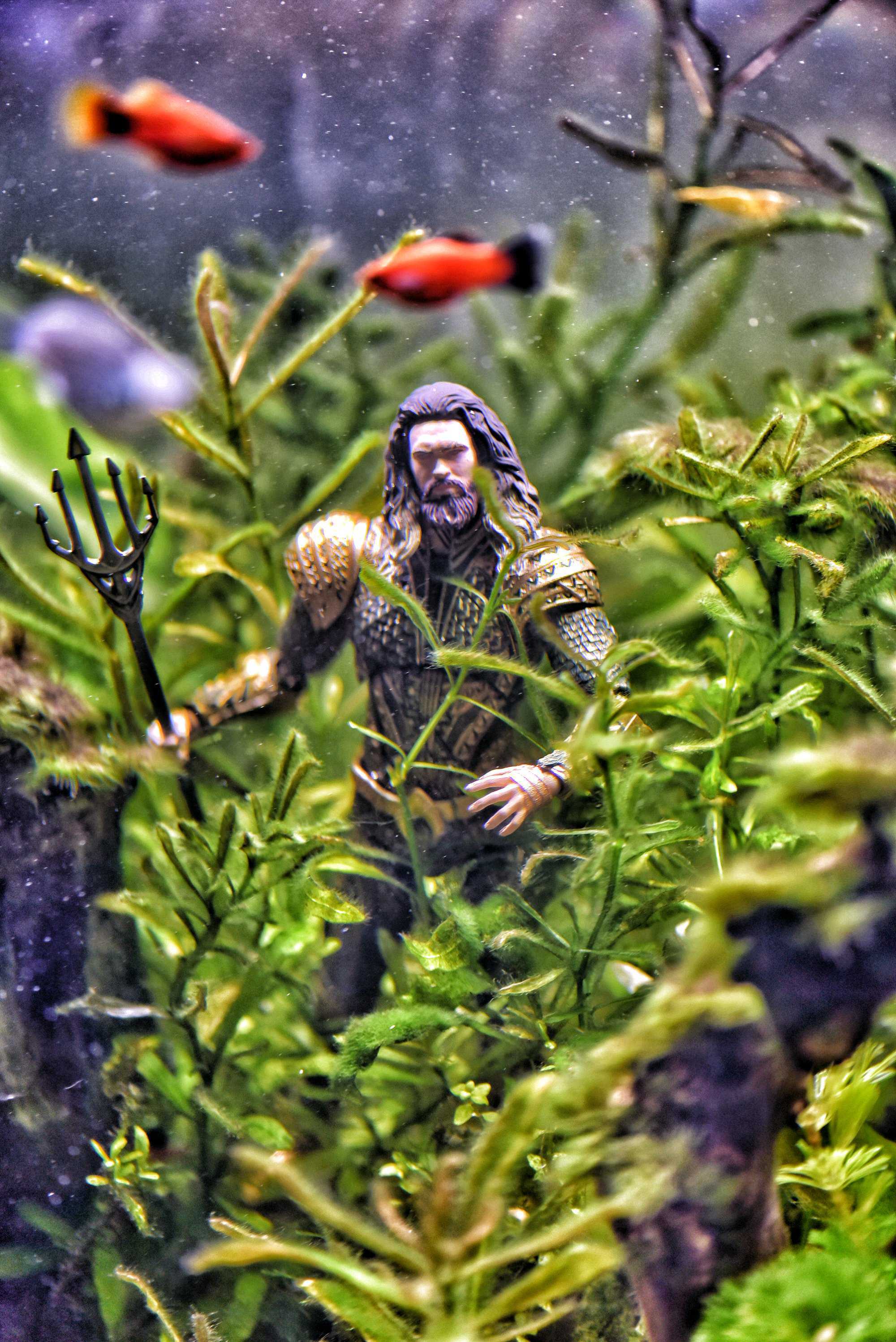 Aquaman In Fish Tank