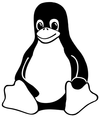 https://d33wubrfki0l68.cloudfront.net/07c3a6d3023656d0768de04933d2147f8302eff2/12fcb/_images/linux.png