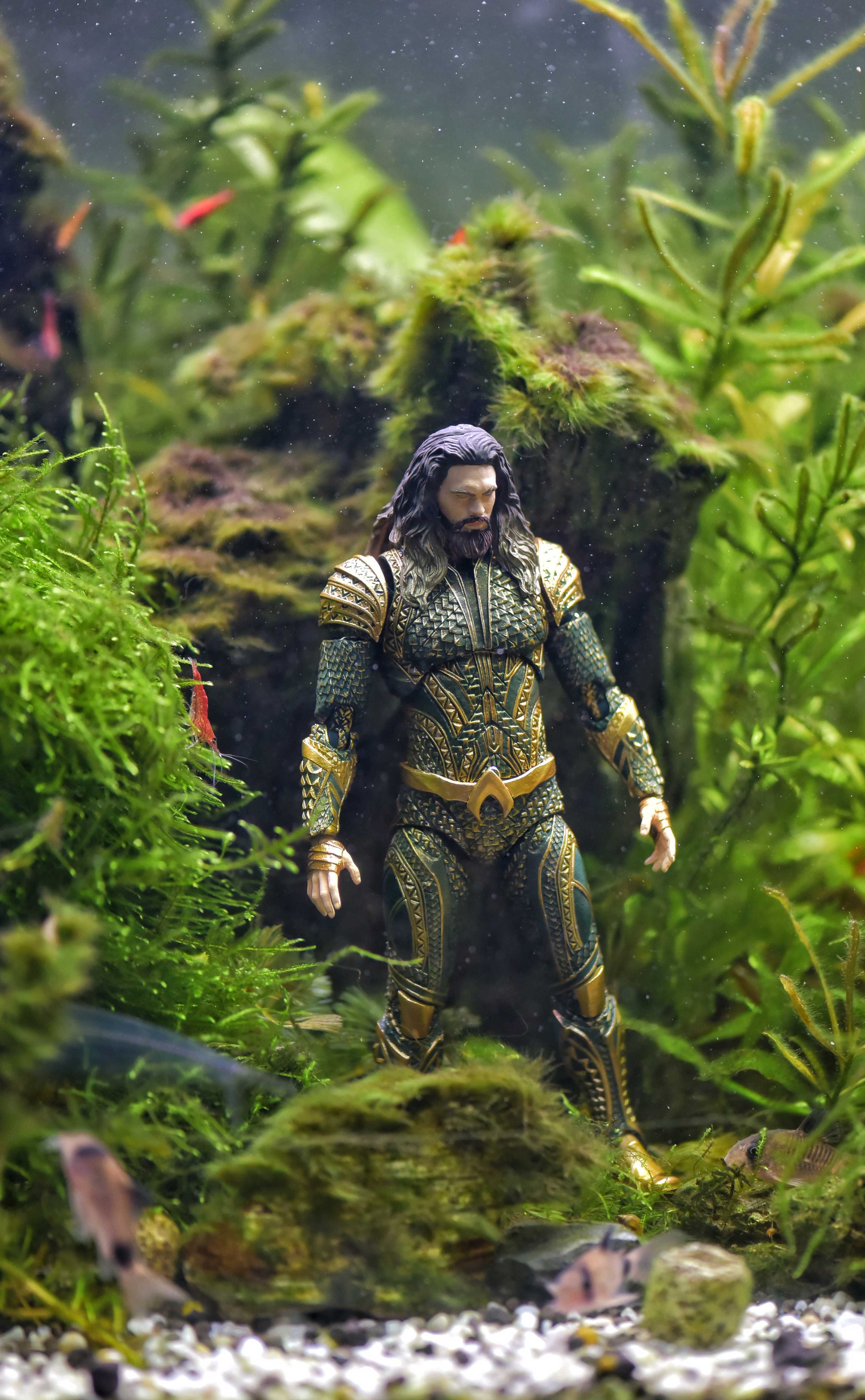 Aquaman In Fish Tank