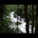 Panama Rainforest 5