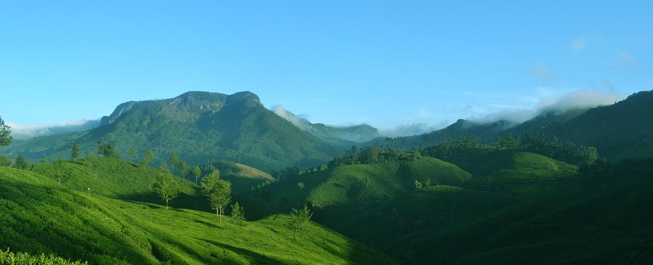 Best Outdoor Activities in Munnar to Make Your Trip Unforgettable