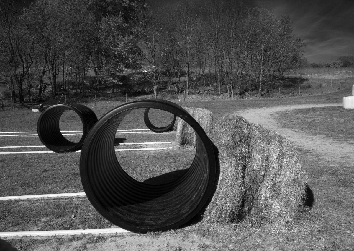 <p>Human-sized hamster wheels!</p>\n