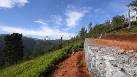 Overview of the plot