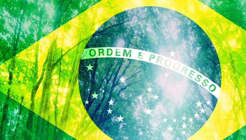 Imagem em destaque para o artigo: 3 leis brasileiras a favor do meio ambiente que você ainda não conhece!