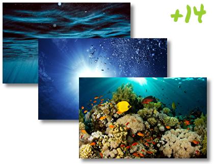 Underwater theme pack