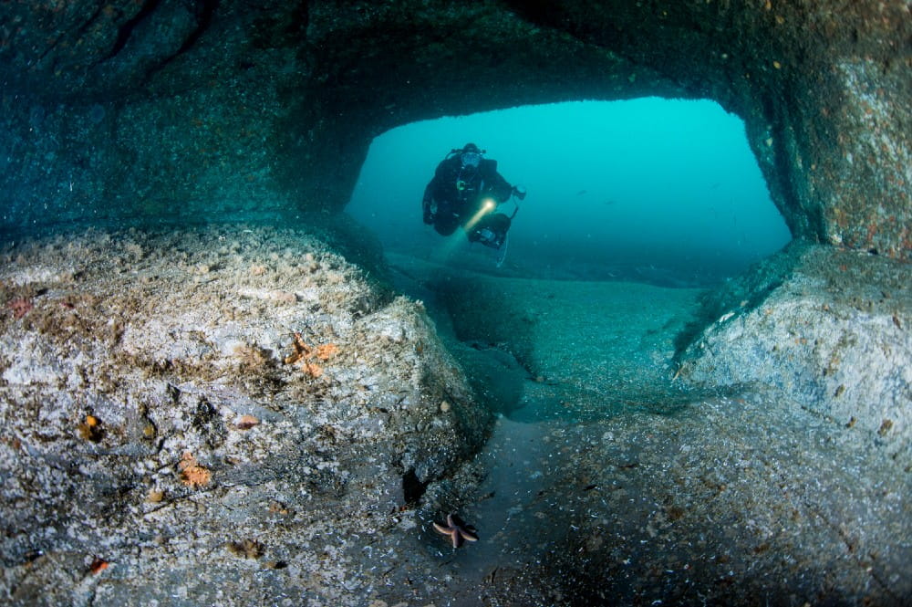 A diver exploring underneath a rocky arch with various encrusting fauna